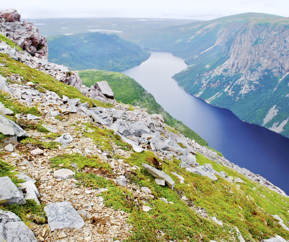 Blog Post-Summer NL4-Western Brook